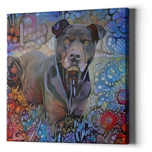 AugiDog Pitbull Custom Canvas