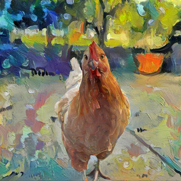 AugiDog Chicken Pet Canvas