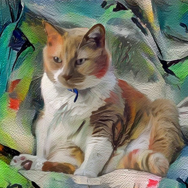AugiDog Cat Custom Pet Canvas