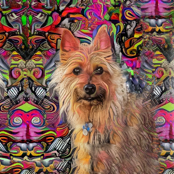 Gretchen F.