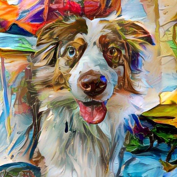 Aussie AugiDog Pet Canvas