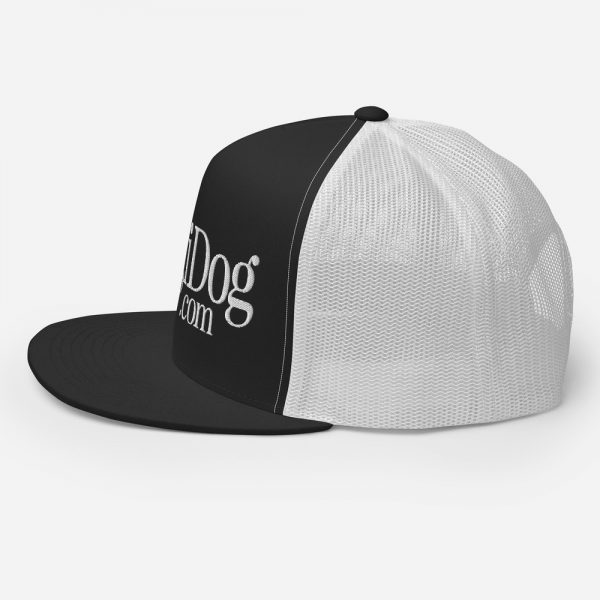 AugiDog Snapback