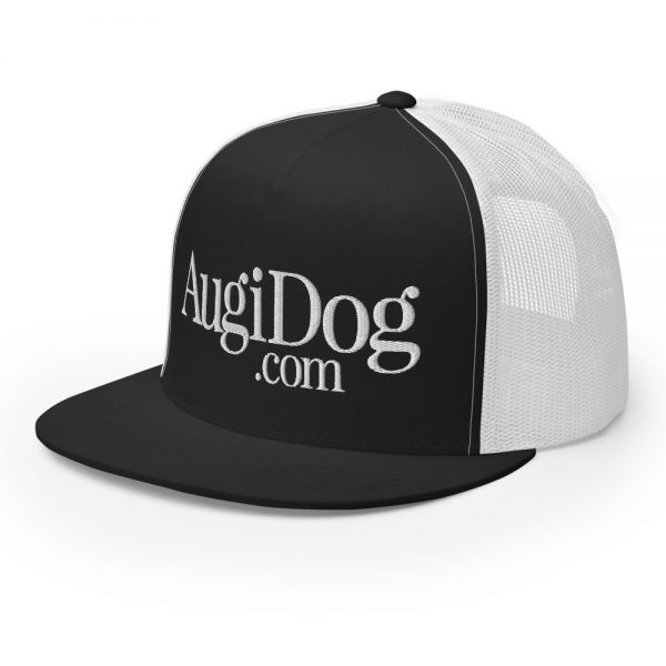 AugiDog Snapback
